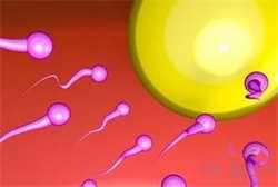 怀孕十天左右能用试纸测出来吗