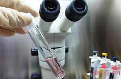 谢娜孕肚照曝光怀孕了怎么养胎