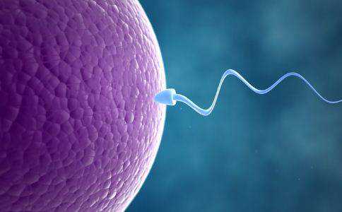 怀孕三个半月同房出血