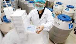 怀孕初期饮食孕妈咪怎么吃更健康