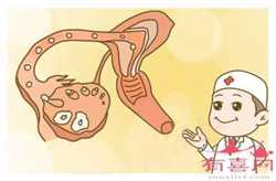 怀孕九个月了是多少周