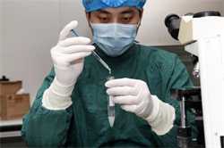 今年虚岁27哪个月怀孕能生女孩？