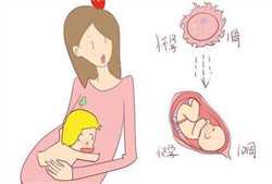 警惕！怀孕初期腰酸也许是宫外孕