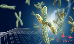 怀孕之后准妈妈们的身体会发生什么变化？