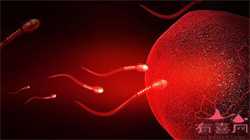 怀孕脐带绕颈二周怎么办