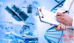 怀孕后期准备什么东西,怀孕后期的分娩症状