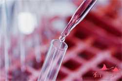 怀孕8个月肚子疼腰疼怎么回事