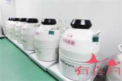 孕妇补维生素食谱：绿豆芽汁的做法