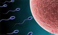 包头治愈儿童外科的医院有哪家