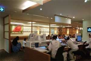 晚上同房早上排卵会怀孕吗,第二天晚上排卵会怀孕吗