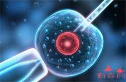 少精液能怀孕吗