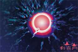 怀孕5-8周：胎宝宝的变化有哪些？