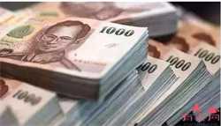 利于孕妇健康的最佳食物