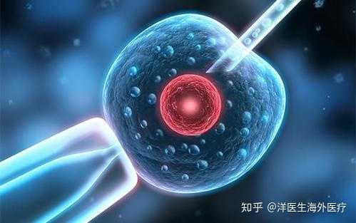 为什么卵子会受精失败呢?