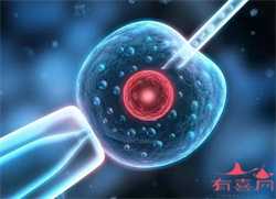 作为运氧载体,红细胞偏低别着急,日常生活治疗调理即可