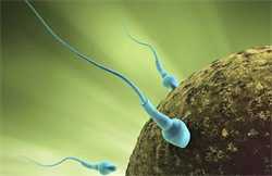 怀孕了痔疮严重怎么办