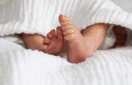 胎盘的功效和作用是什么