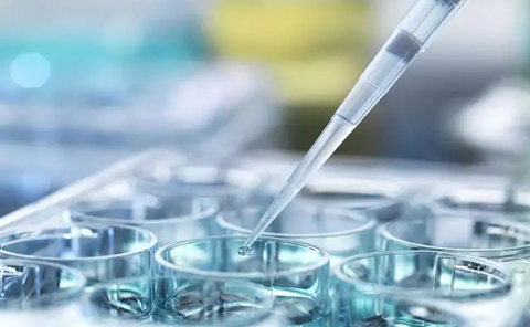 肾小球肾炎好治疗吗