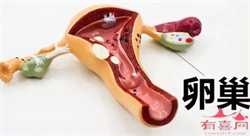 来月经可以做美甲吗