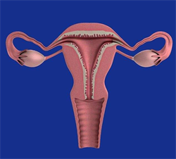 孕妇梦见头发被剪短了代表什么