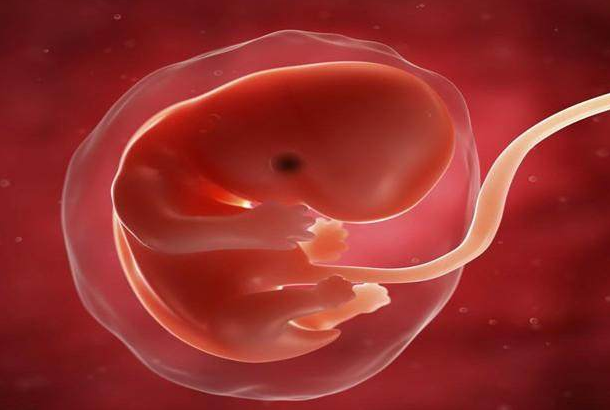 高龄产妇怀孕需要做哪些检查，高龄生育检查项目盘点！