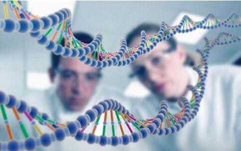 孕妇胃疼的缓解方法