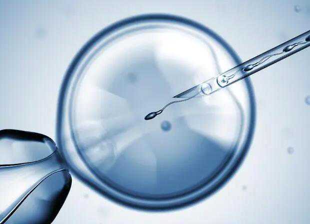 做试管生下的孩子健康吗？和自然怀孕生下的并无两样