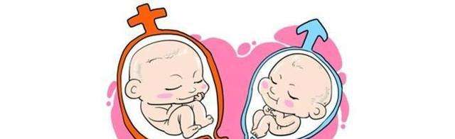 川贝可以煲汤给宝宝喝吗川贝适合多大宝宝吃