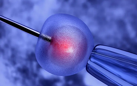 一起了解一下“智力低下”