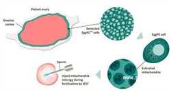 冬天宝宝发烧又热又烫，晚上睡觉时需要盖被子吗？