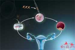 准爸爸妈咪们要警惕B超带来的危害