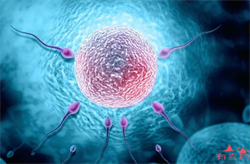 揭秘孕期胎盘成熟度警惕老化