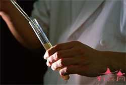 胚胎着床需要的条件有哪些，胚胎着床必要的四个条件