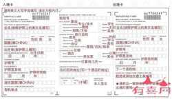 白领一族适合喝什么养生茶