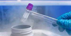 怀孕刚满三个月同房了