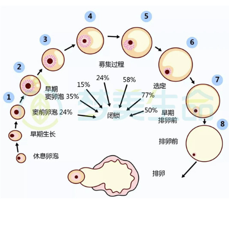 怀孕初期肚子疼是怎么回事孕初期腹痛怎么办