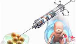 怀孕8周适合吃什么