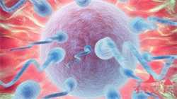 二胎补贴2022最新补贴政策？农村二胎补贴多少钱？