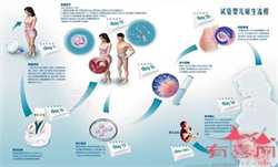 二胎怀孕有什么症状