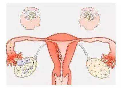 月经推迟几天能测出怀孕？计算排卵时间的方法