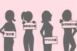 深圳人工授精医院汇总，北大深圳、深圳罗湖皆是最好助孕机构