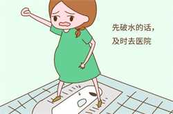 怀孕晚期能吃白萝卜吗