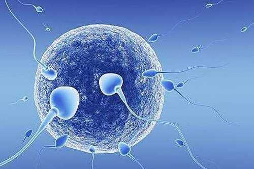 孕期检查项目_孕期检查项目时间表_孕期检查项目及费用