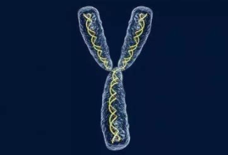 高龄二胎孕期检查项目有哪些？