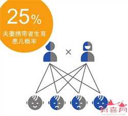 孕妇着装漂亮与舒适兼顾