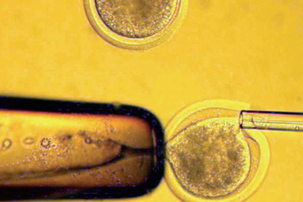 春纪护肤品孕妇能用吗