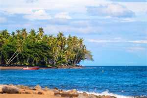 有心管搏动是不是就是有胎心了？