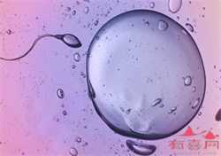 孕妇突然胃痛怎么办可以快速缓解的