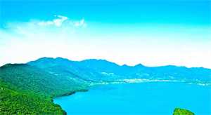 高血压吃什么食物能降压