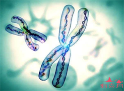孕35周胎盘1级正常吗